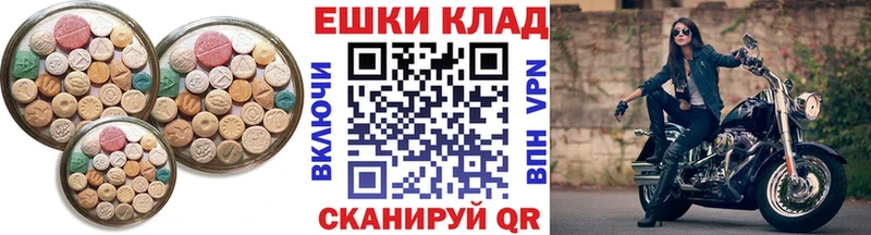 ЭКСТАЗИ Philipp Plein  дарк нет как зайти  Шарья 