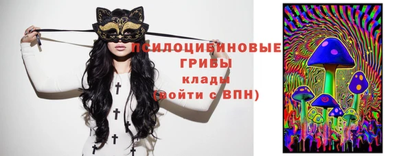 мяу мяу кристалл Вяземский