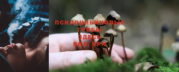 гашик Горно-Алтайск