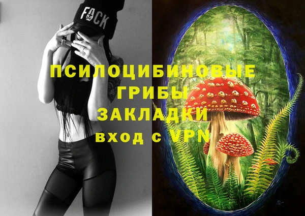 мяу мяу кристалл Вяземский