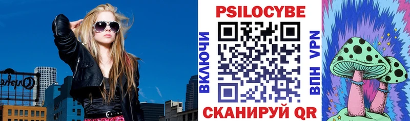 где продают Шарья Галлюциногенные грибы Psilocybine cubensis