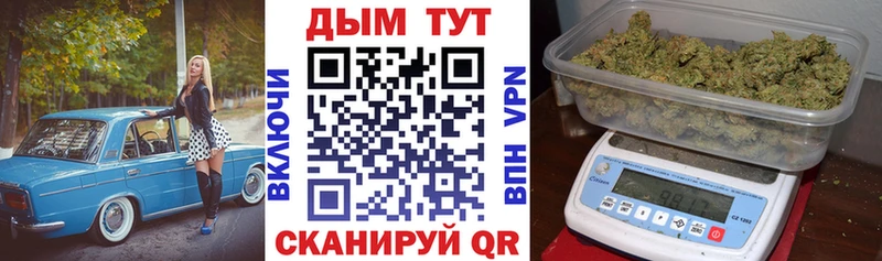 Каннабис индика Шарья